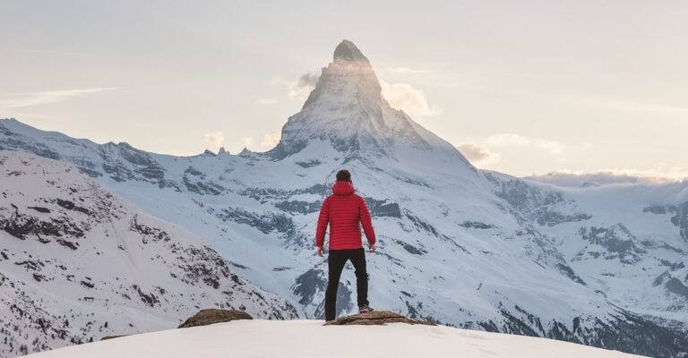 wsl-program-wsl-trainer